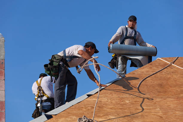 Residential Roof Replacement in Palmetto, FL